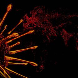 stock photo coronavirus disease covid infection medical 1